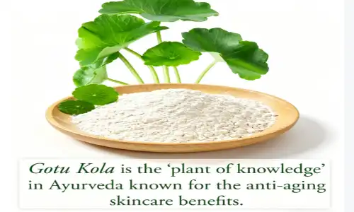 Where to buy gotu kola extract